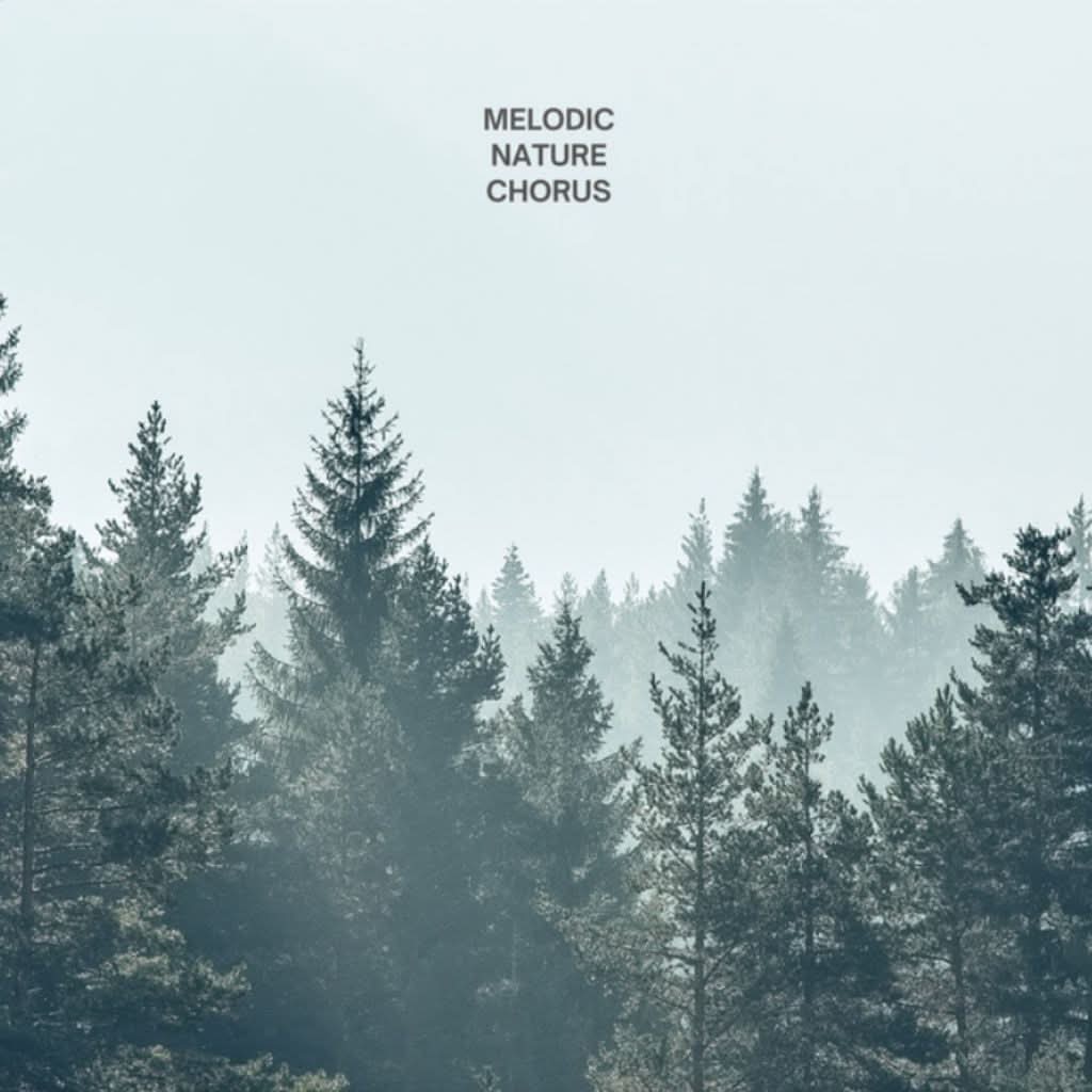 Sierra Chill: 40 Tracks of Mindfulness