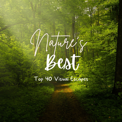 Nature's Best:  Top 40 Visual Escapes